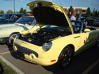82911_156.jpg