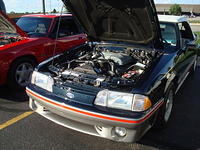 82911_187.jpg