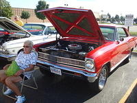 82911_197.jpg