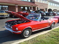 82911_224.jpg