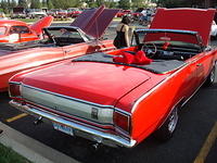 8811_159.jpg