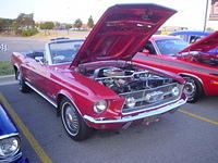 81307_033.JPG