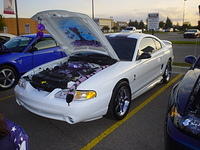 82707_042.JPG