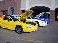 61107_019.JPG