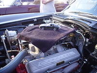 61807_057.JPG