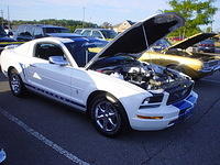 SISF07_035.JPG