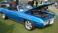ShelbyLions_008.JPG