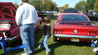 ShelbyLions_014.JPG