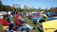 ShelbyLions_015.JPG