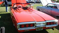 ShelbyLions_019.JPG