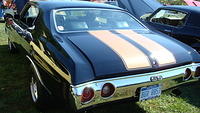 ShelbyLions_020.JPG