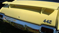 ShelbyLions_021.JPG