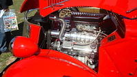 ShelbyLions_023.JPG