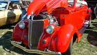 ShelbyLions_024.JPG