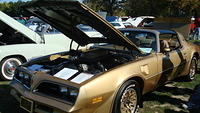ShelbyLions_025.JPG