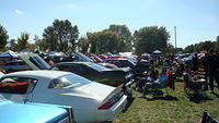 ShelbyLions_028.JPG