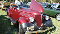 ShelbyLions_032.JPG