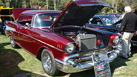 ShelbyLions_033.JPG