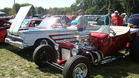 ShelbyLions_037.JPG
