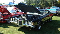 ShelbyLions_038.JPG