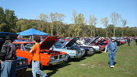 ShelbyLions_039.JPG