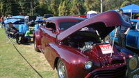 ShelbyLions_042.JPG