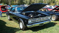 ShelbyLions_044.JPG