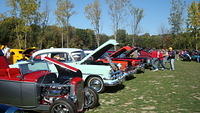 ShelbyLions_046.JPG