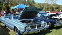 ShelbyLions_048.JPG