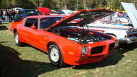 ShelbyLions_050.JPG
