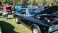 ShelbyLions_052.JPG