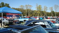 ShelbyLions_053.JPG