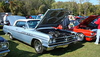 ShelbyLions_054.JPG