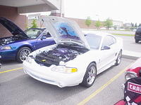52608_019.JPG