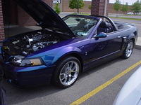 52608_025.JPG
