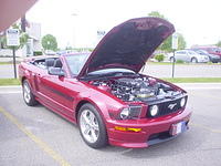 52608_037.JPG