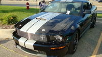 8118_056.JPG