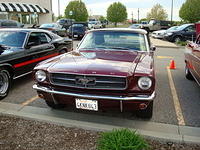 5119_030.JPG