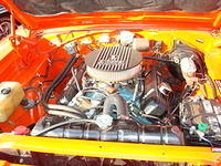 5119_075.JPG