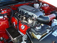 5189_105.JPG