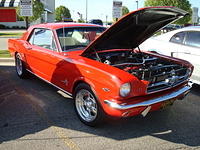 5189_108.JPG
