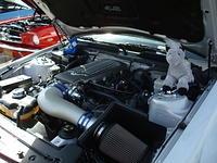 5259_076.JPG