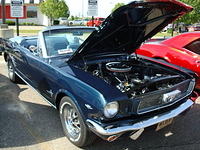 5259_077.JPG