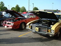 6159_073.JPG