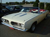 6159_110.JPG
