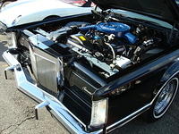 7609_117.JPG