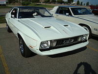 7609_133.JPG
