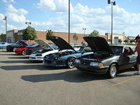 7609_158.JPG