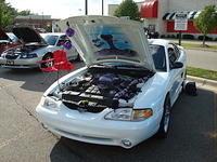 7609_163.JPG