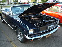 71309_029.JPG